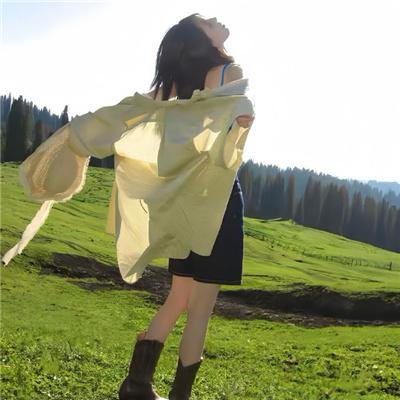 我在大理寺当宠物