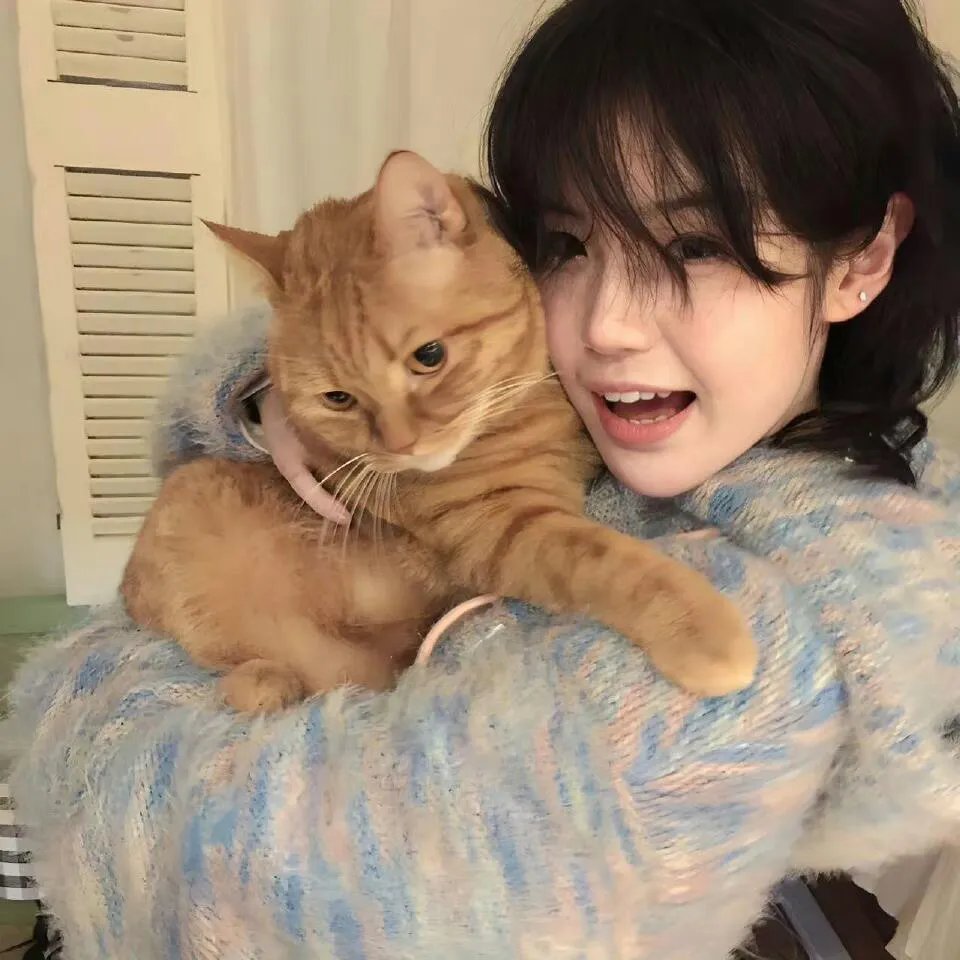 重逢时萌宝哑妻好难哄